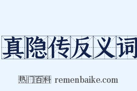 真隐传反义词是什么意思的图片